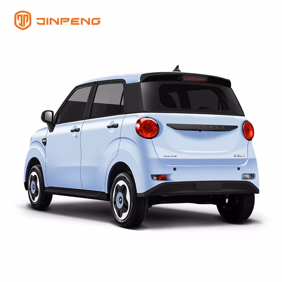 Manufacturer Directly Sale High Speed Electric Lithium Battery Car