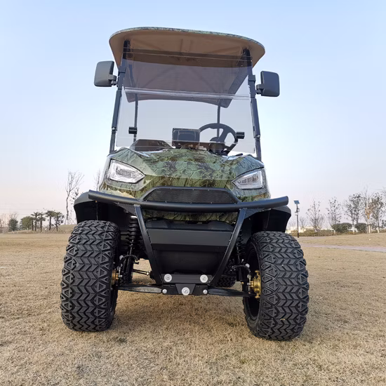 Manufacturer Free Custom Color OEM Electric Sport Golf Buggy Cart Wholesale Battery 4 Wheel 2 Passenger Electric Small Car Mini Car with Single Luxury Seater